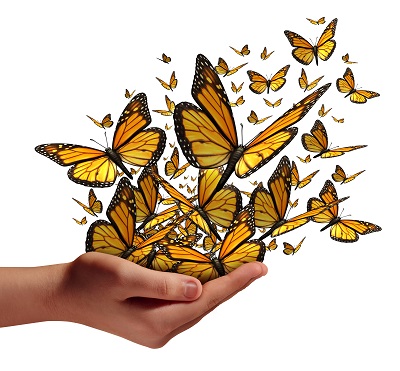 a large number of orange and black butterflies of all sizes flying around from two outstretched hands